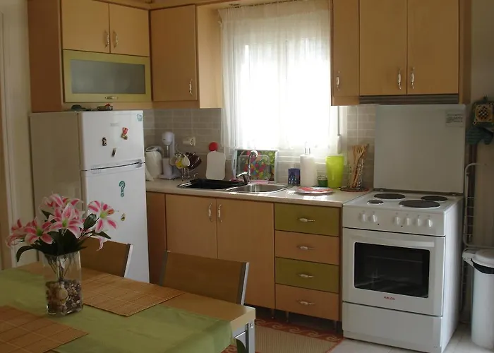 To Ampelaki Apartment Tsoukaladhes